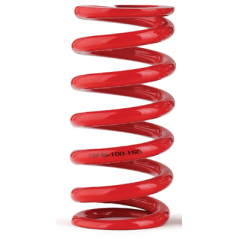 Spring for rear shock absorber 250 MM 80 116 NM