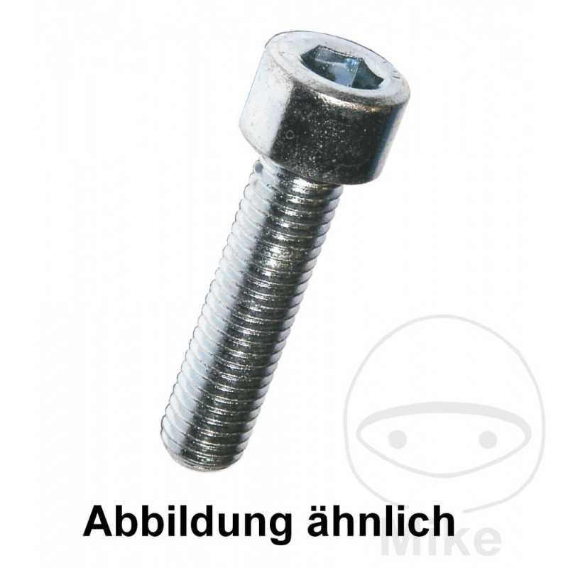 DRESSELHAUS Tornillo allen A2 5X12 DIN912
 (100U) 736.04.07