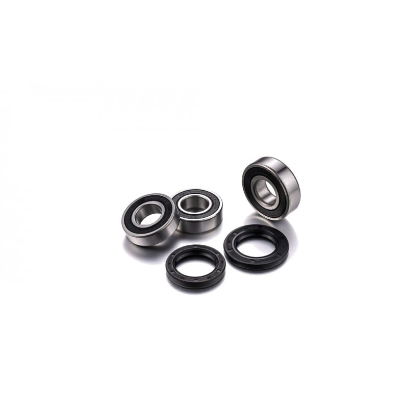 FACTORY LINKS KIT, BEARINGS, WHEEL, REAR 1119758